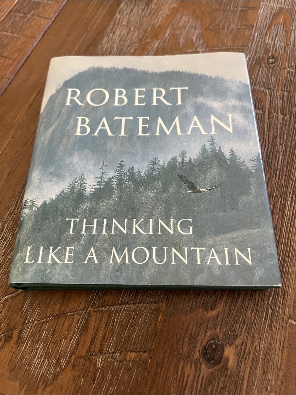 Thinking Like a Mountain by Robert Bateman - New